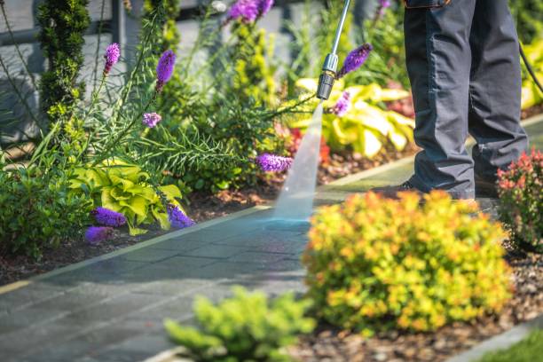 Reliable Troy, PA  Pressure Washing Services Solutions